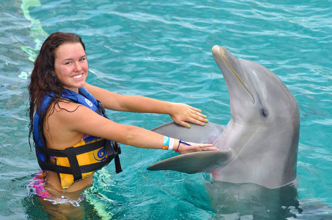 Swimming with dolphins Cancun