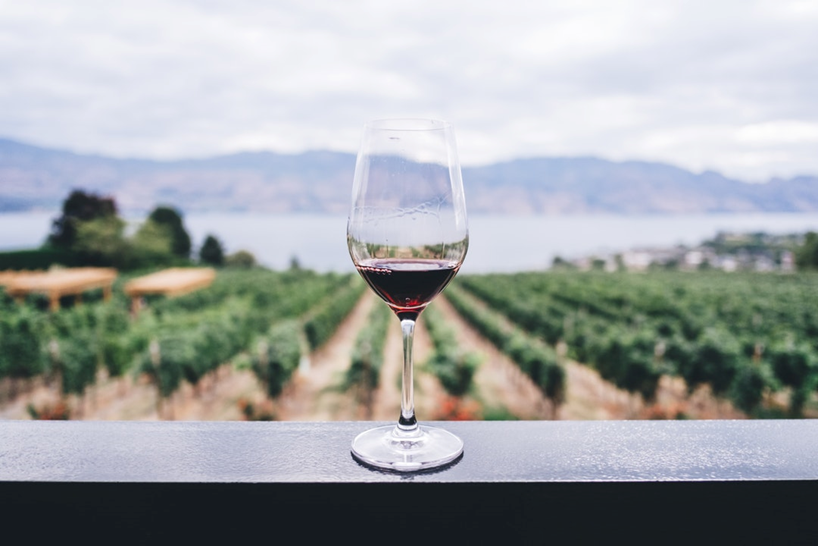 7 Awesome Reasons for Going on a Wine Tour