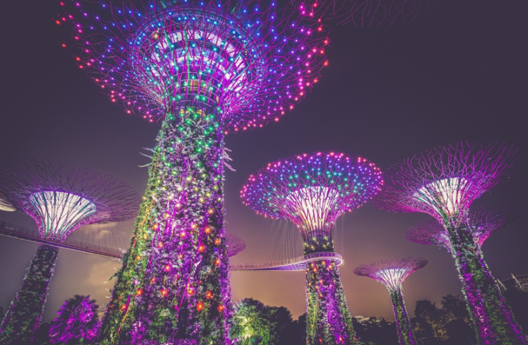 5 Things Everyone Should Do When Visiting Singapore