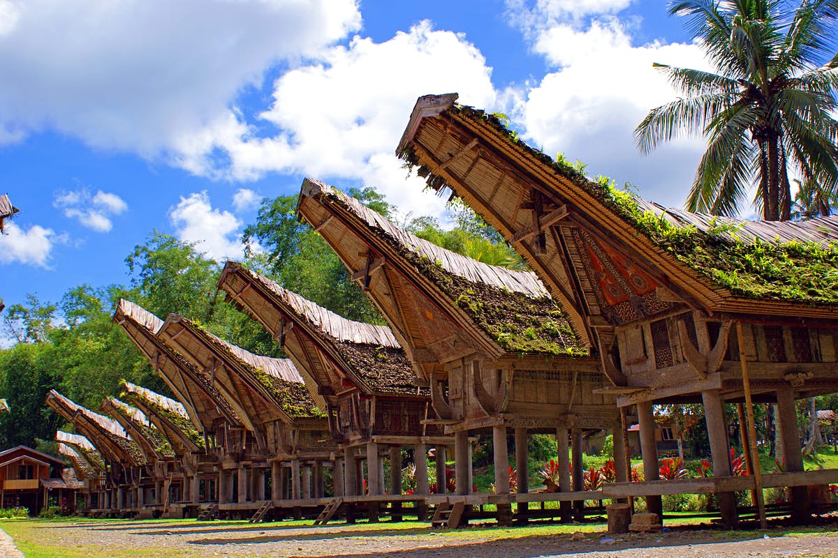 Amazing Tourist Places in Toraja